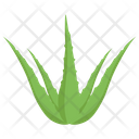 پیش‌نمایش فایل aloe-vera-plant از پک کشاورزی ارگانیک