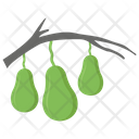 پیش‌نمایش فایل avocado-plant از پک کشاورزی ارگانیک