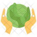 پیش‌نمایش فایل cabbage-74 از پک کشاورزی ارگانیک