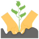 پیش‌نمایش فایل celery-seedling از پک کشاورزی ارگانیک