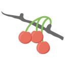 پیش‌نمایش فایل cherries-132 از پک کشاورزی ارگانیک