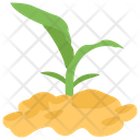 پیش‌نمایش فایل corn-sprout از پک کشاورزی ارگانیک