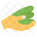 پیش‌نمایش فایل cucumbers-3 از پک کشاورزی ارگانیک