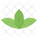 پیش‌نمایش فایل fresh-organic-leaves از پک کشاورزی ارگانیک