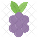 پیش‌نمایش فایل grapes-293 از پک کشاورزی ارگانیک