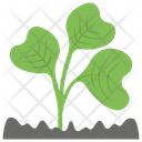 پیش‌نمایش فایل green-sprout از پک کشاورزی ارگانیک