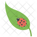 پیش‌نمایش فایل leaf-insect-2 از پک کشاورزی ارگانیک