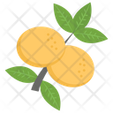 پیش‌نمایش فایل orange-plant از پک کشاورزی ارگانیک