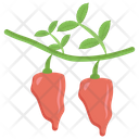 پیش‌نمایش فایل pepper-plant از پک کشاورزی ارگانیک