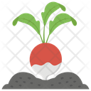 پیش‌نمایش فایل radish-seeding از پک کشاورزی ارگانیک