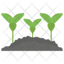 پیش‌نمایش فایل soy-plant از پک کشاورزی ارگانیک