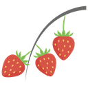 پیش‌نمایش فایل strawberries-in-garden از پک کشاورزی ارگانیک