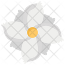 پیش‌نمایش فایل jasmine-flower-17 از پک فرایند درمان و مشاوره