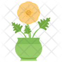 پیش‌نمایش فایل daisy-in-pot-1421921 از پک طراحی و دکوراسیون خانه