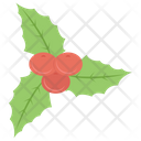 پیش‌نمایش فایل mistletoe-1421963 از پک طراحی و دکوراسیون خانه