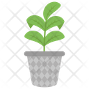 پیش‌نمایش فایل plant-1421934 از پک طراحی و دکوراسیون خانه