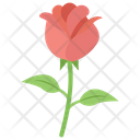 پیش‌نمایش فایل rose-1421895 از پک طراحی و دکوراسیون خانه