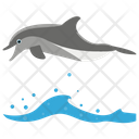پیش‌نمایش فایل dolphin-1422162 از پک دزدان دریایی