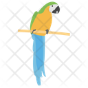 پیش‌نمایش فایل parrot-1422138 از پک دزدان دریایی