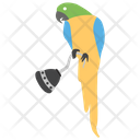 پیش‌نمایش فایل pirate-parrot-1422164 از پک دزدان دریایی