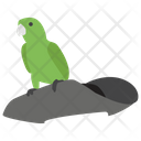 پیش‌نمایش فایل pirate-parrot-1422171 از پک دزدان دریایی