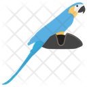 پیش‌نمایش فایل pirate-parrot-1422222 از پک دزدان دریایی