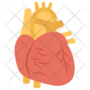 پیش‌نمایش فایل heart-1422292 از پک بهداشت و سلامت نوزاد