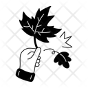 پیش‌نمایش فایل maple-leaf-11218091 از پک پاییز
