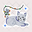 پیش‌نمایش فایل cat-lights-11324936 از پک حیوان خانگی