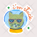 پیش‌نمایش فایل cat-stuck-11324939 از پک حیوان خانگی