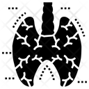 پیش‌نمایش فایل lungs-1445423 از پک سلول‌ها، اندام‌ها، شاهدانه پزشکی