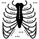 پیش‌نمایش فایل rib-cage-1445461 از پک سلول‌ها، اندام‌ها، شاهدانه پزشکی