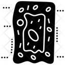 پیش‌نمایش فایل skin-cells-1445387 از پک سلول‌ها، اندام‌ها، شاهدانه پزشکی