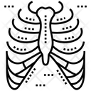 پیش‌نمایش فایل rib-cage-1445561 از پک آیکون‌های خطی سلول‌ها، اندام‌ها، شاهدانه پزشکی