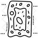 پیش‌نمایش فایل skin-cells-1445487 از پک آیکون‌های خطی سلول‌ها، اندام‌ها، شاهدانه پزشکی