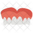 پیش‌نمایش فایل artificial-teeth-1447150 از پک پروتز ارتوپدی، ایمپلنت‌های پزشکی و اندام‌های مصنوعی