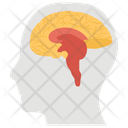 پیش‌نمایش فایل brain-1447155 از پک پروتز ارتوپدی، ایمپلنت‌های پزشکی و اندام‌های مصنوعی