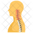 پیش‌نمایش فایل cervical-spine-1447206 از پک پروتز ارتوپدی، ایمپلنت‌های پزشکی و اندام‌های مصنوعی