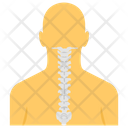 پیش‌نمایش فایل cervical-spine-1447215 از پک پروتز ارتوپدی، ایمپلنت‌های پزشکی و اندام‌های مصنوعی