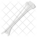 پیش‌نمایش فایل fibula-bone-1447138 از پک پروتز ارتوپدی، ایمپلنت‌های پزشکی و اندام‌های مصنوعی