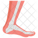 پیش‌نمایش فایل foot-medical-showing-1447186 از پک پروتز ارتوپدی، ایمپلنت‌های پزشکی و اندام‌های مصنوعی