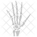 پیش‌نمایش فایل hand-bone-1447192 از پک پروتز ارتوپدی، ایمپلنت‌های پزشکی و اندام‌های مصنوعی