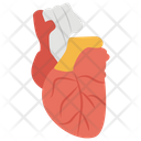 پیش‌نمایش فایل heart-1447228 از پک پروتز ارتوپدی، ایمپلنت‌های پزشکی و اندام‌های مصنوعی