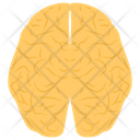 پیش‌نمایش فایل human-brain-1447230 از پک پروتز ارتوپدی، ایمپلنت‌های پزشکی و اندام‌های مصنوعی