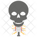 پیش‌نمایش فایل human-skull-1447166 از پک پروتز ارتوپدی، ایمپلنت‌های پزشکی و اندام‌های مصنوعی