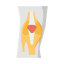 پیش‌نمایش فایل knee-1447141 از پک پروتز ارتوپدی، ایمپلنت‌های پزشکی و اندام‌های مصنوعی
