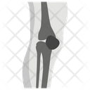 پیش‌نمایش فایل knee-anatomy-1447162 از پک پروتز ارتوپدی، ایمپلنت‌های پزشکی و اندام‌های مصنوعی