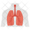 پیش‌نمایش فایل respiratory-organ-1447158 از پک پروتز ارتوپدی، ایمپلنت‌های پزشکی و اندام‌های مصنوعی