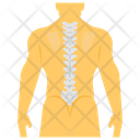 پیش‌نمایش فایل spine-anatomy-1447205 از پک پروتز ارتوپدی، ایمپلنت‌های پزشکی و اندام‌های مصنوعی