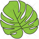 پیش‌نمایش فایل coriander-1450258 از پک خط‌خطی‌های تابستانی برداری